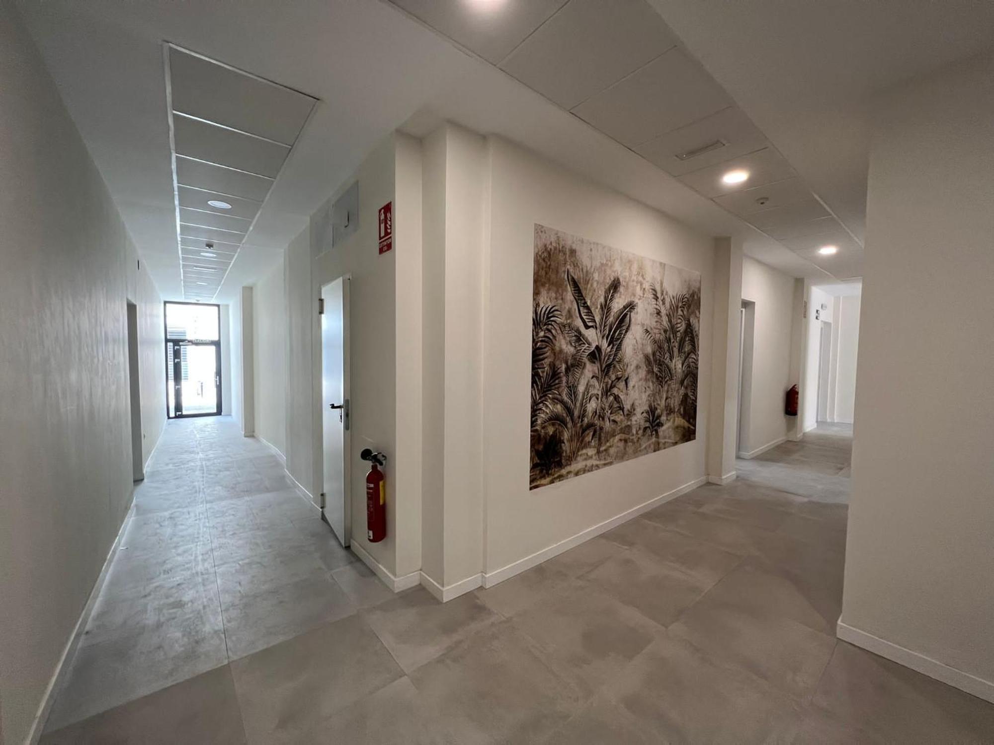 Estudio Trinidad Centro Malaga 2 المظهر الخارجي الصورة